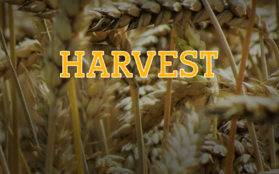 Harvest Campaign