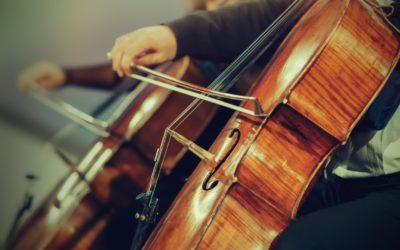 Complete Harmony – Summit Life Today