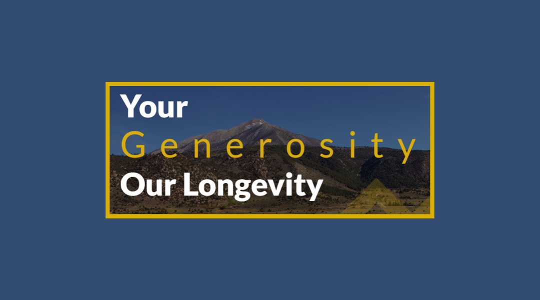 Listening to Lucy as we use Real Estate for Life, Living, and Charitable Giving